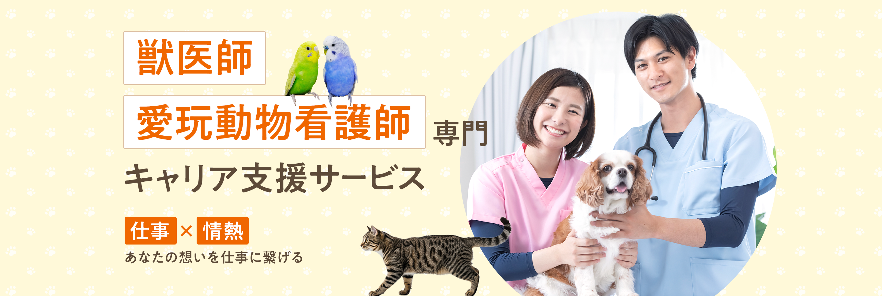 メインビジュアル