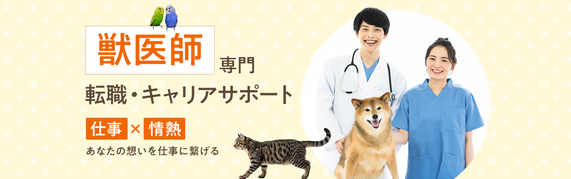 メインビジュアル